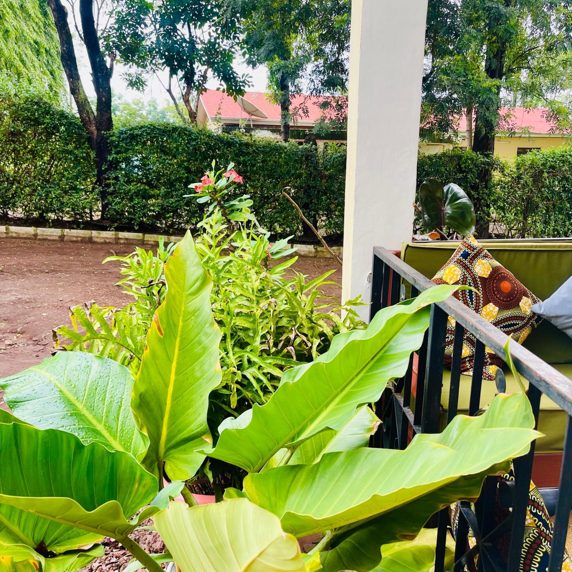 Sophie Homestay Moshi Dış mekan fotoğraf